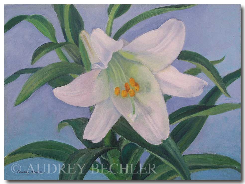 Single Lily, Acrylic, Audrey Bechler Eugene, ME