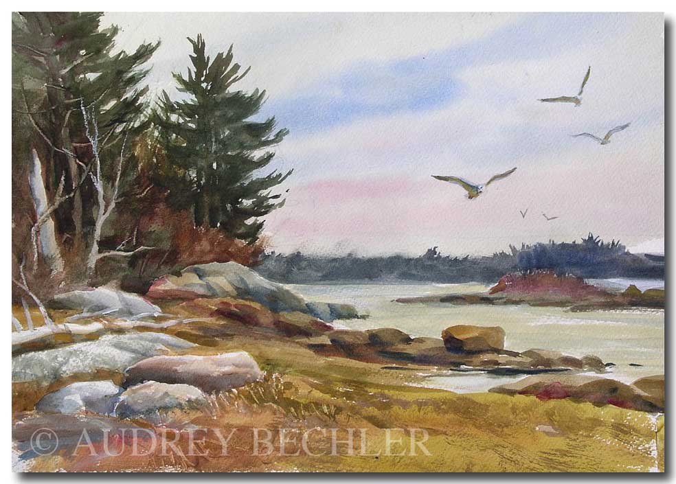 Gulls Over the Shore, Acrylic, Audrey Bechler Eugene, ME