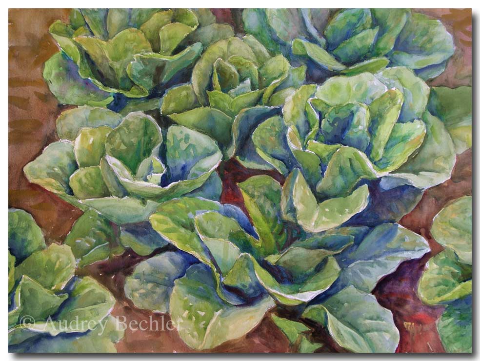 Lettuce Patch         , Acrylic, Audrey Bechler Eugene, ME