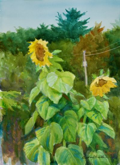 #673 'Summer Sun' by Audrey Bechler Eugene, OR