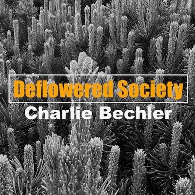 deflowered society