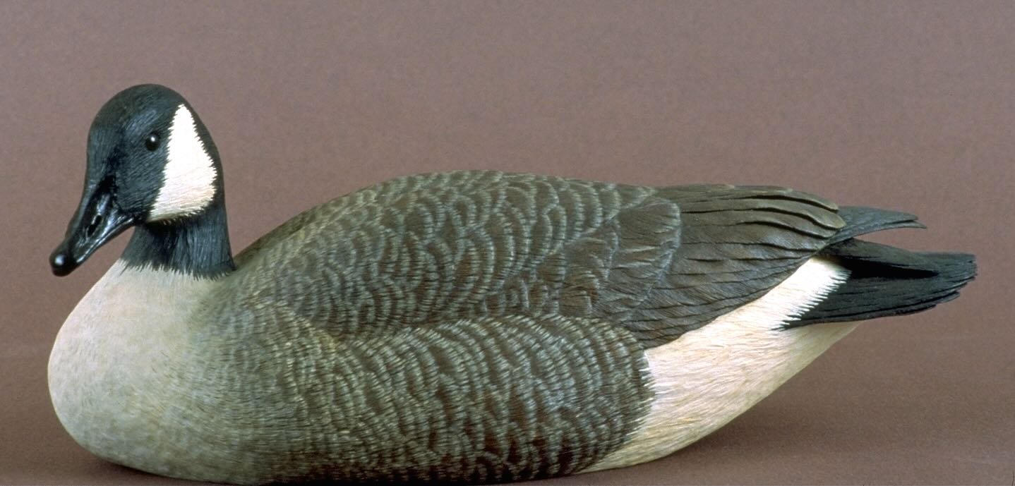 Carved Swimming Canada Goose Decorative Decoy by Douglas Bechler